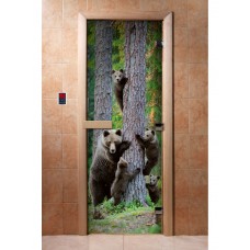 Дверь стеклянная DoorWood Фотопечать 190х70 арт. А064